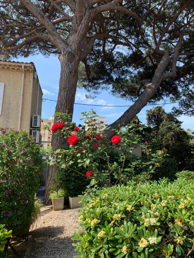 Hotel Beau Rivage Le Lavandou Eksteriør bilde